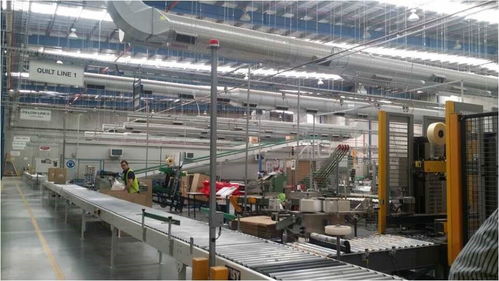 羊毛變金子 探訪澳洲最神秘工廠，揭秘世界頂尖羊毛加工技術(shù)轉(zhuǎn)讓之路